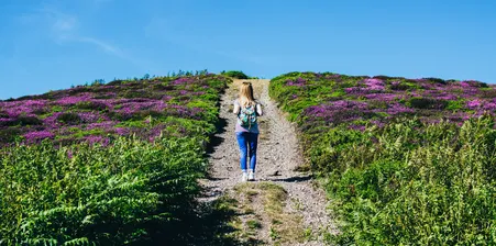 Woman walking alone between two purple flower fields